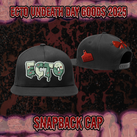 Ecto : Snapback Cap