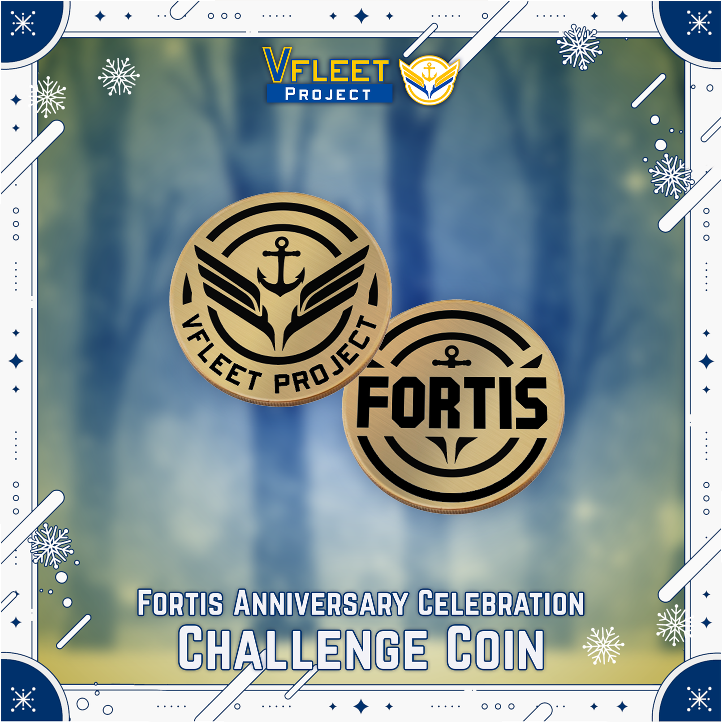 VFleet Project : Fortis Challenge Coin