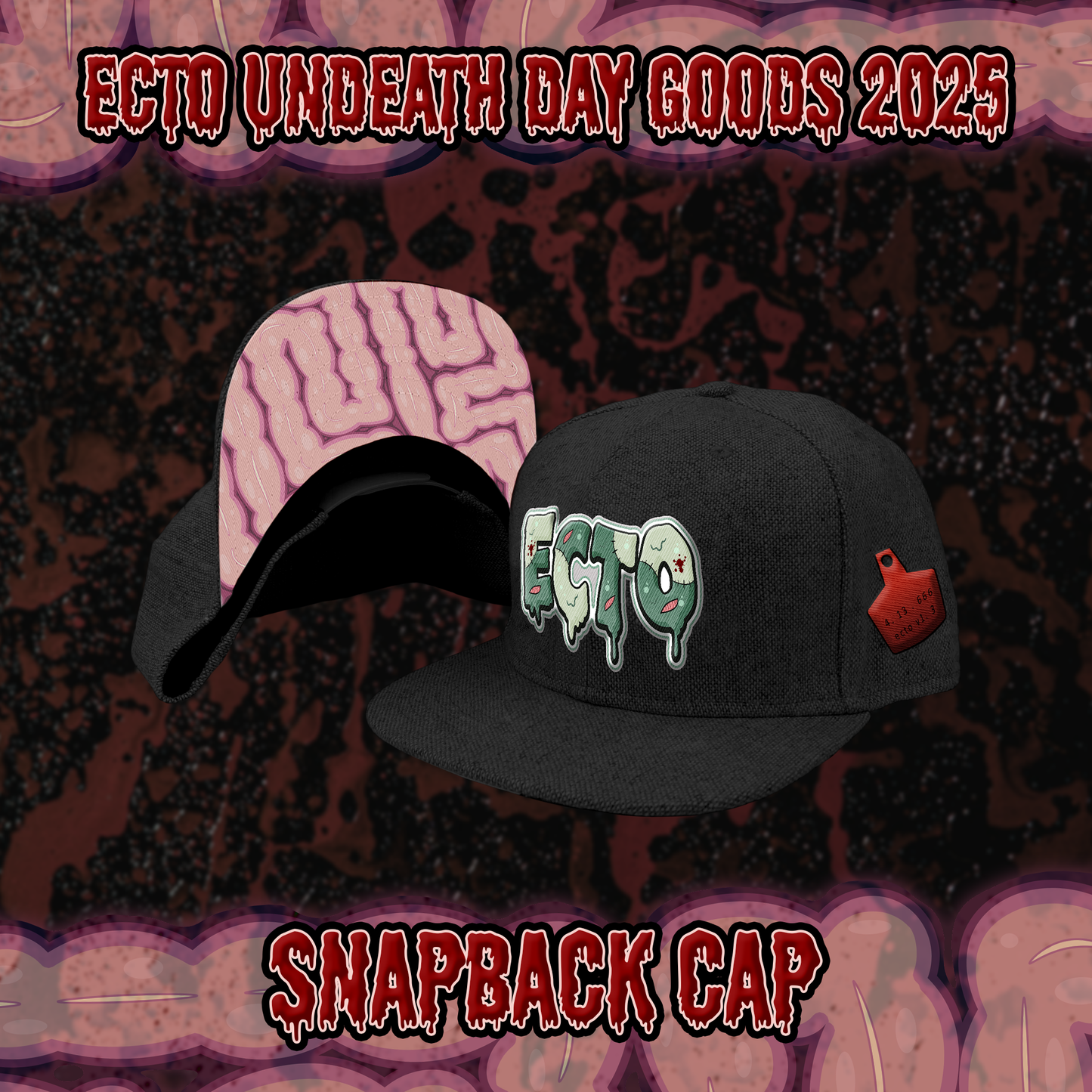 Ecto : Snapback Cap